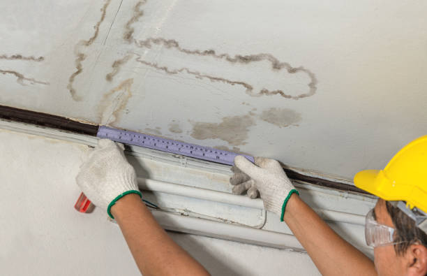 Reliable Structural Drying contractor in South Walpole, MA by Water Damage Irwin